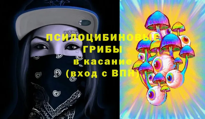 Галлюциногенные грибы Cubensis  Краснокамск 